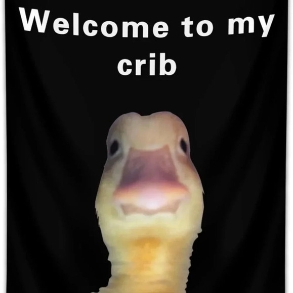 Welcome to My Crib Funny Flag 2x3Ft Wall Flag with 4 Brass Grommets for Party Ga - Picture 3 of 3